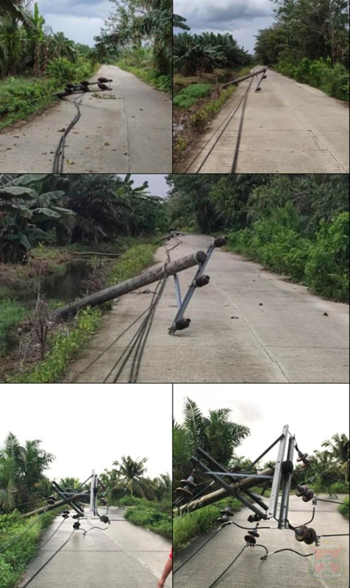 AKIBAT HUJAN DERAS, SEJUMLAH TIANG LISTRIK TUMBANG DI DESA RANTE MARIO 